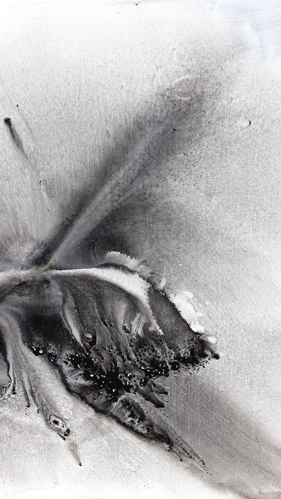 Nature 579 — Abstract Windswept Feather