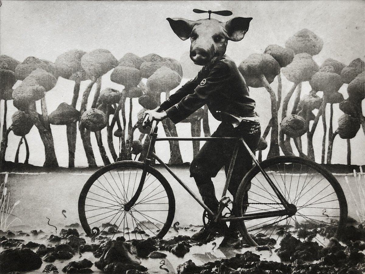 Surrealistic Portrait Etchings & Engravings By Jaco Putker, 13 X 10, The Messenger, Original Artwork