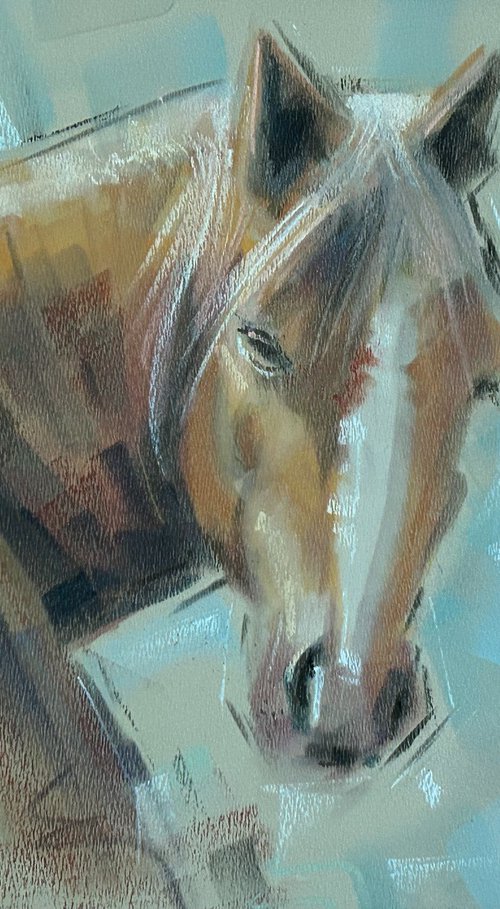 she sees by Deke Wightman