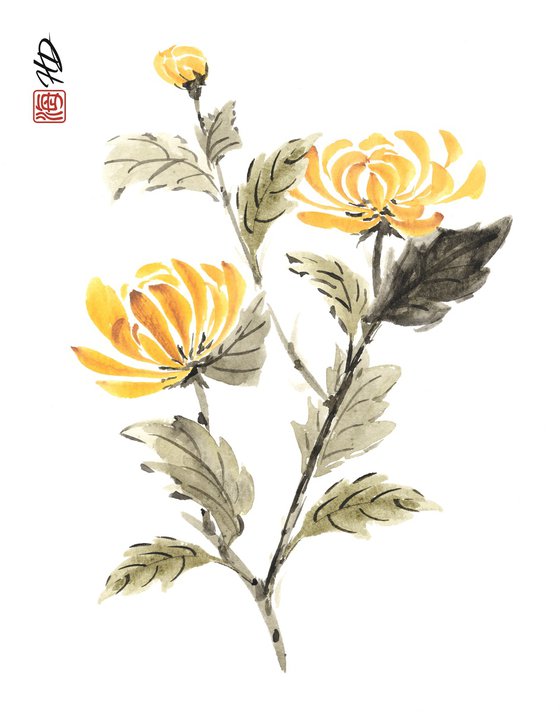 Golden Autumn Chrysanthemum