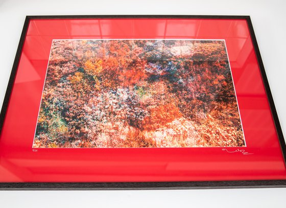 Wall of Nature LXVII (Framed)