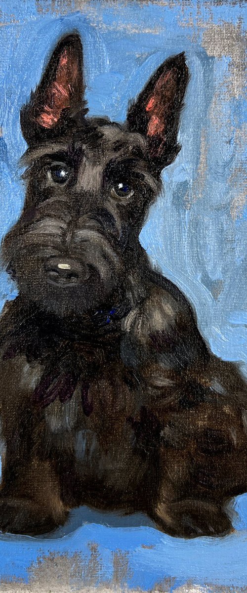Scottie dog by Elina Arbidane