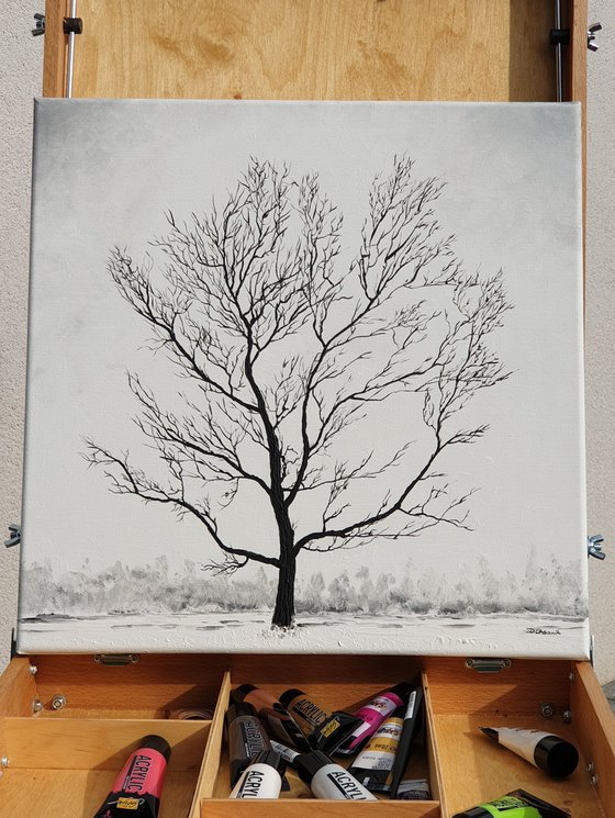 Snow landscape