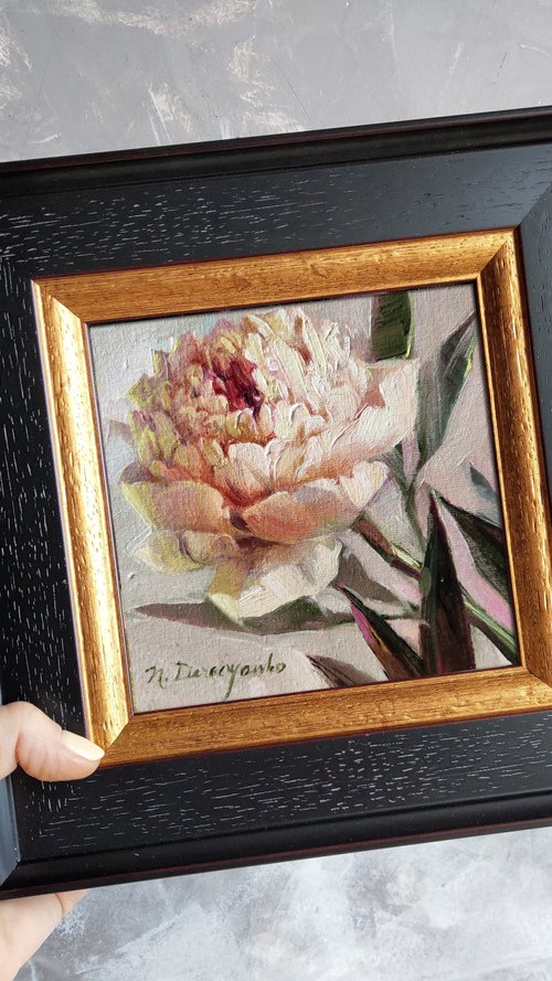 White peony by Nataly Derevyanko