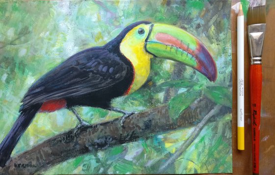 Toucan