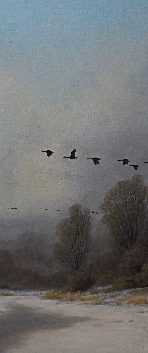 Geese on the run. by Gerard Kramer