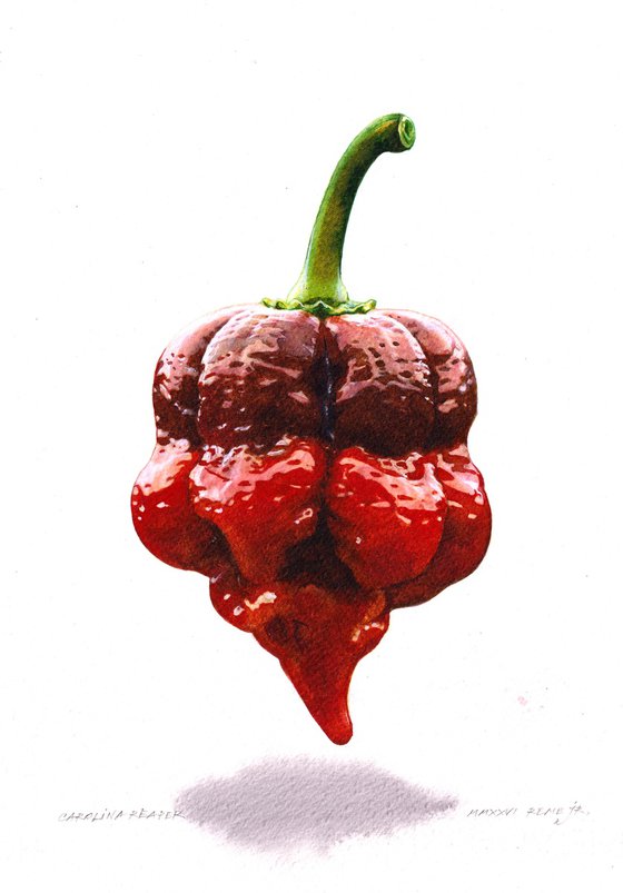 Carolina Reaper