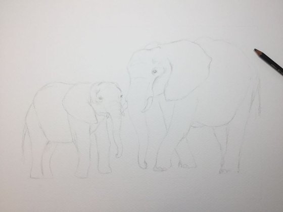 Elephants #3