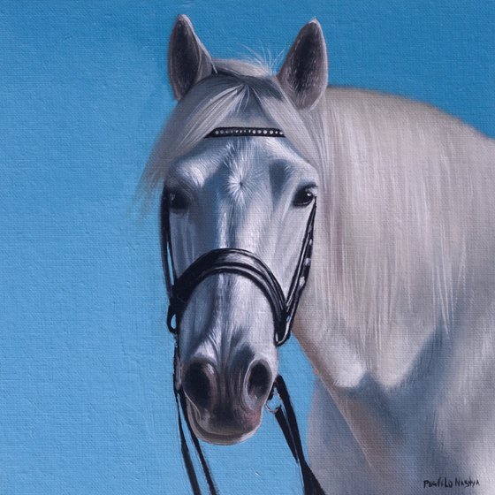 Horse Portrait 48