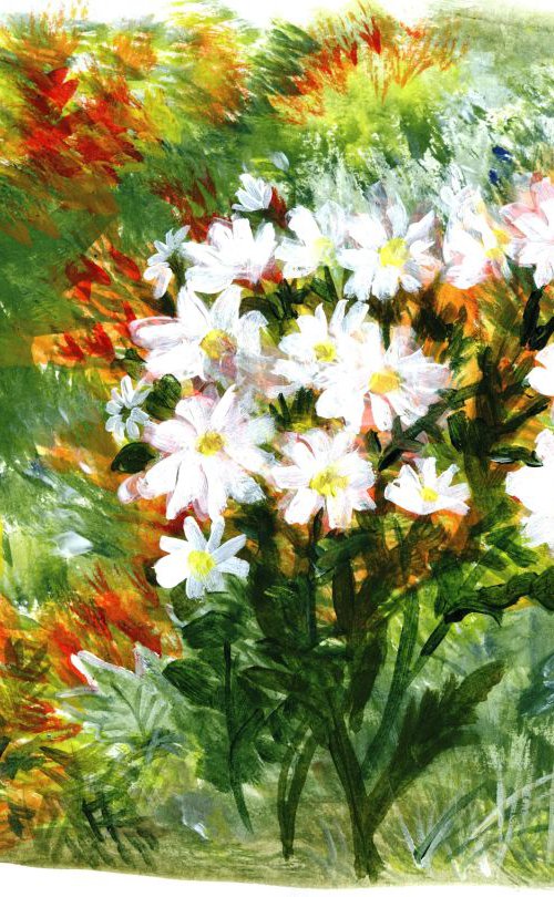 Daisies in coloured border by Sandra Fisher