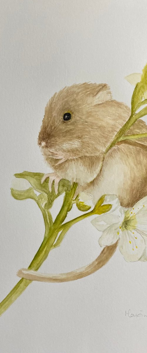 Mouse 2 on a branch by Maxine Taylor