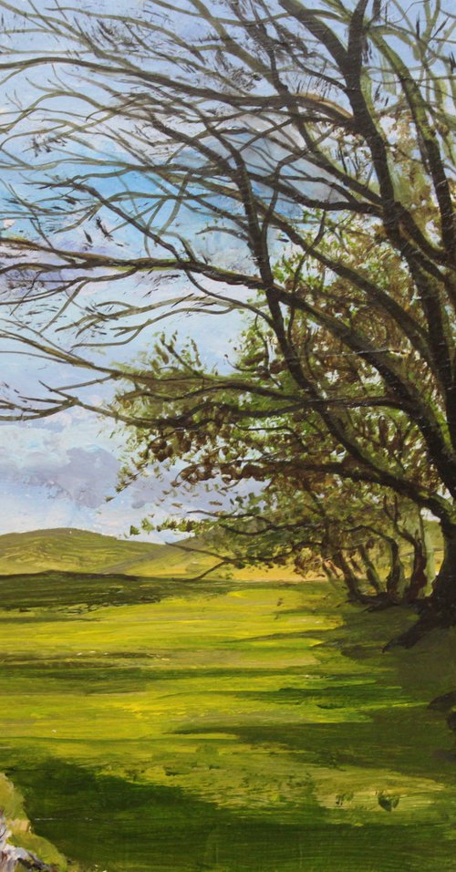 Dartmoor Trees by Valerie Jobes