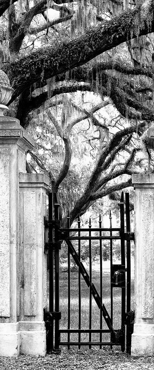 DOWN CEMETERY ROAD by William Dey