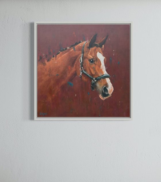 A Horse Called Ruby