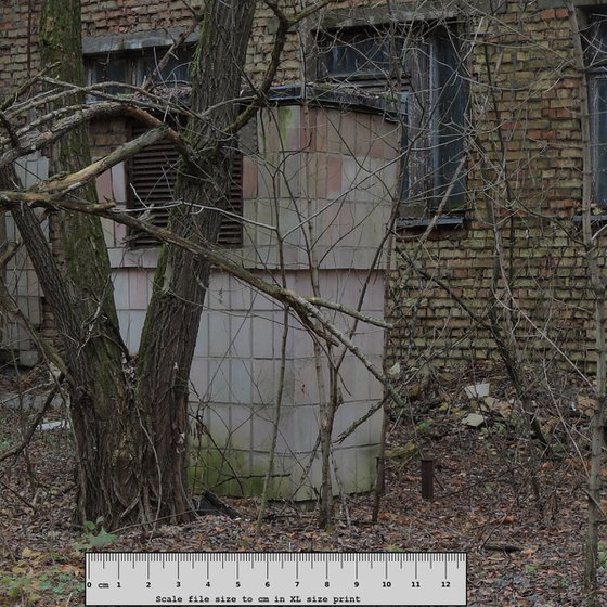 #73. Pripyat Hospital Yard 1 - XL size