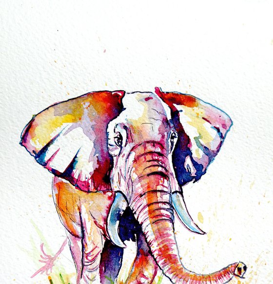 Walk alone - African elephant