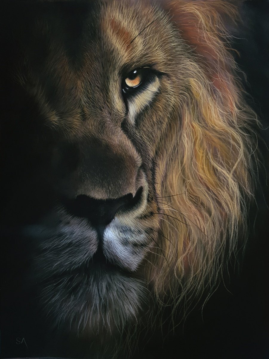 Lion’s Stare ll by Sean Afford