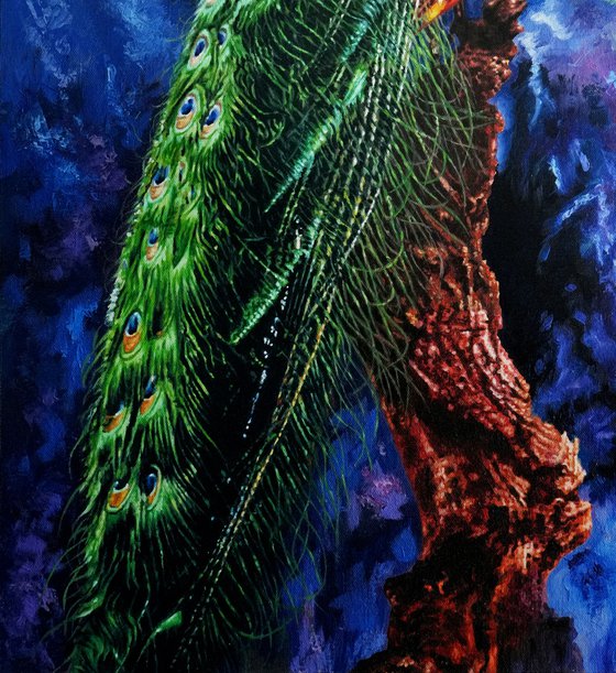 Peacock