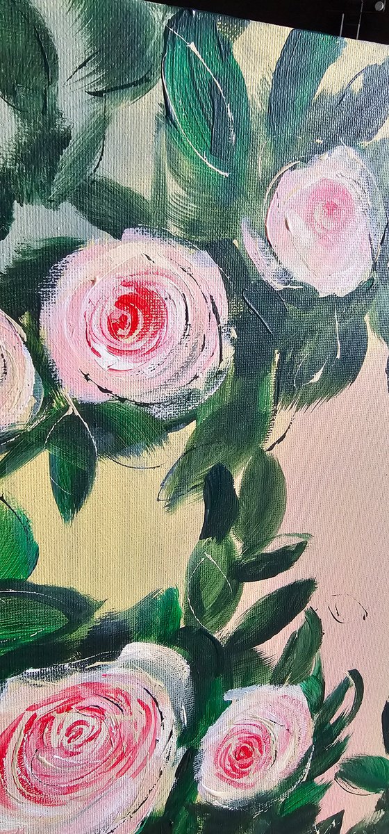 Pierre de Ronsard blooming roses bush