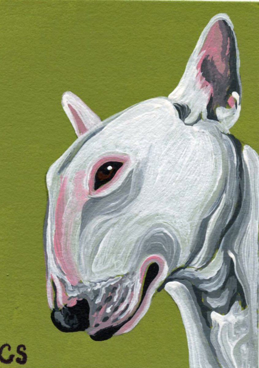 ACEO ATC Original Miniature Painting White Bull Terrier Pet Dog Art-Carla Smale by carla smale