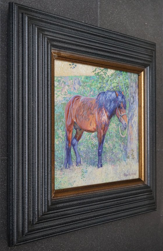 Horse in the shade of trees