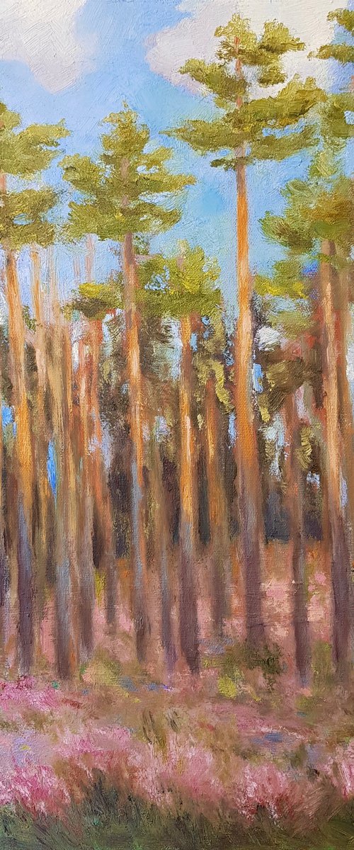 Pine forest by Svetlana Grishkovec-Kiisky