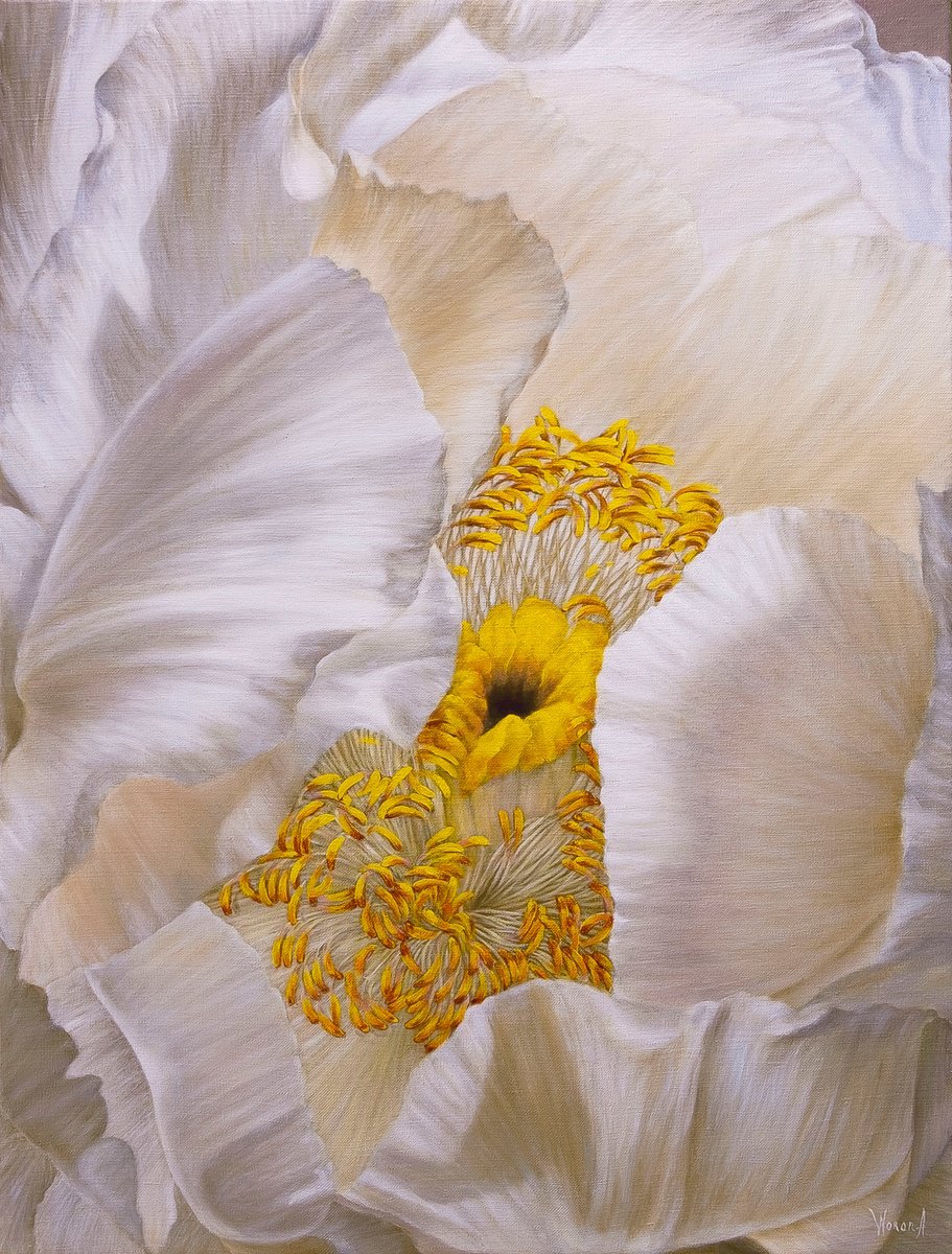 Botanical Oil Painting By Anastasia Woron, 21 X 29, Peony, Soul Of A Flower, Original Artwork