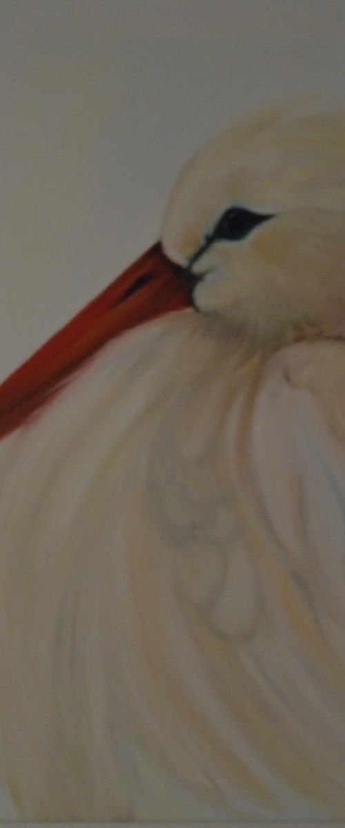 Stork by Timea  Valsami