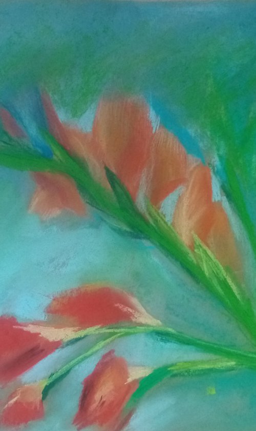 Gladiolus of salmon color 1 by Oxana Raduga