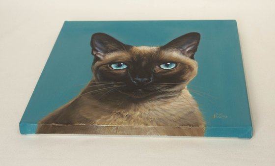 Elegant Siamese Cat