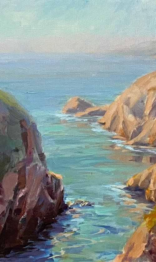 Coastal Serenity Point Lobos by Tatyana Fogarty