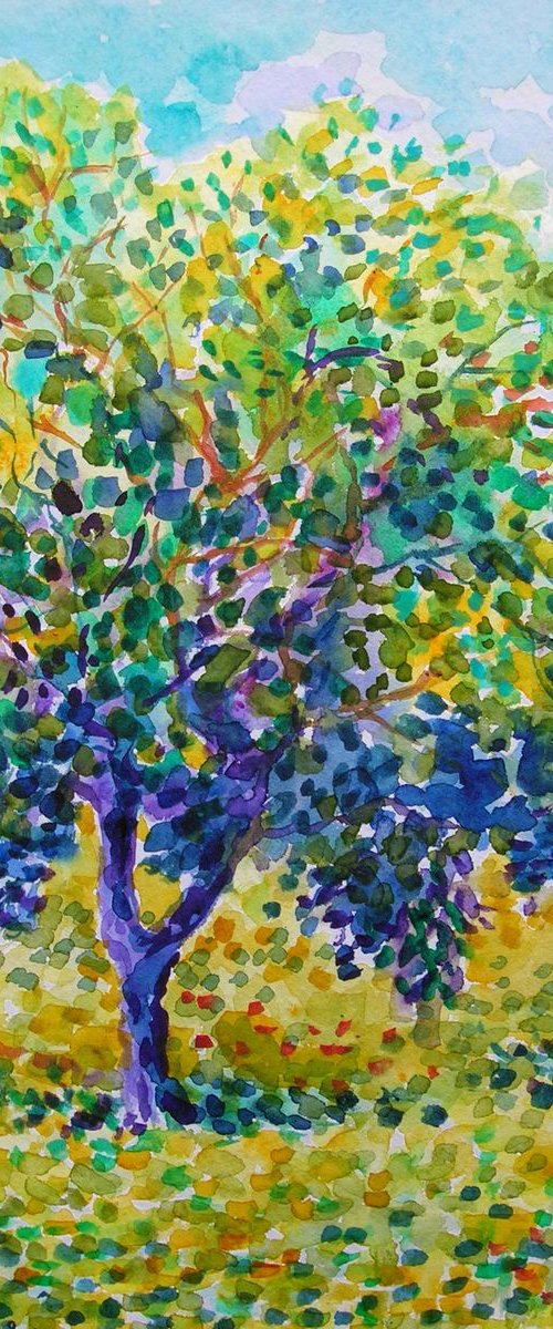 Olive garden #4 by Maja Grecic