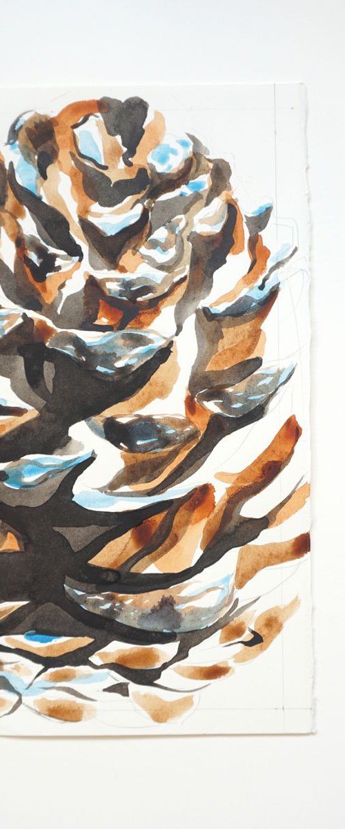 Pine Cone Watercolour Study by Hannah Clark