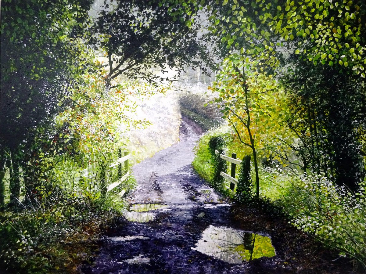 Autumn along the lane by Paula Oakley