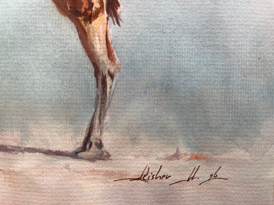 "Desert Sovereign"