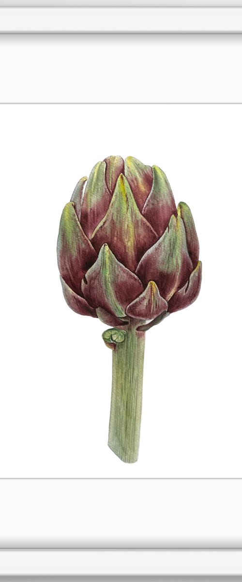 Artichoke. Original watercolor artvork in a frame by Nataliia Kupchyk