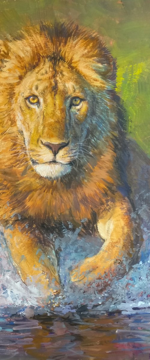 Running lion by Gabriel Hermida