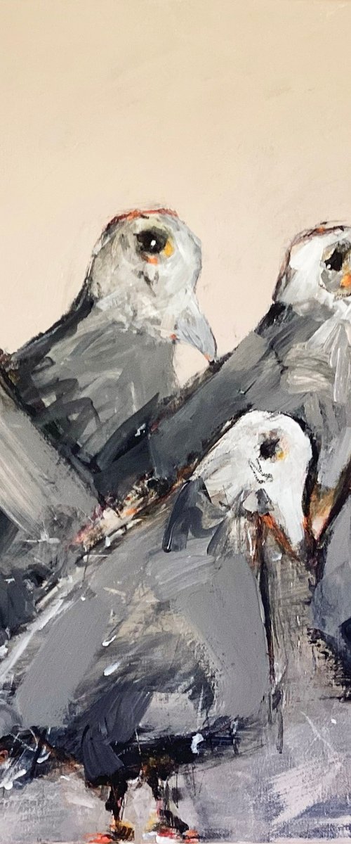 Dove Sunset by Irene Wilkes