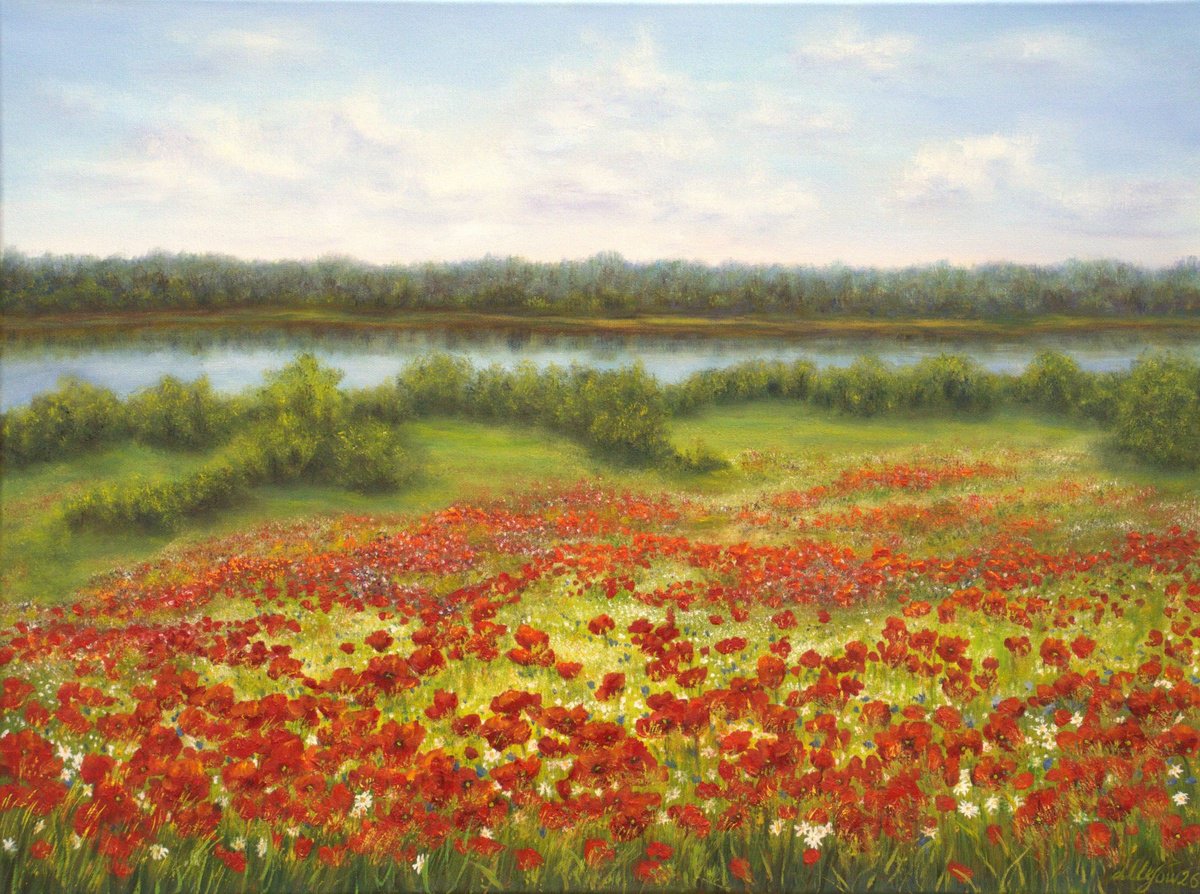 Photorealistic Oil Painting , Poppy Field By Ludmilla Ukrow, 31 X 24, Artwork For Sale On Artfinder