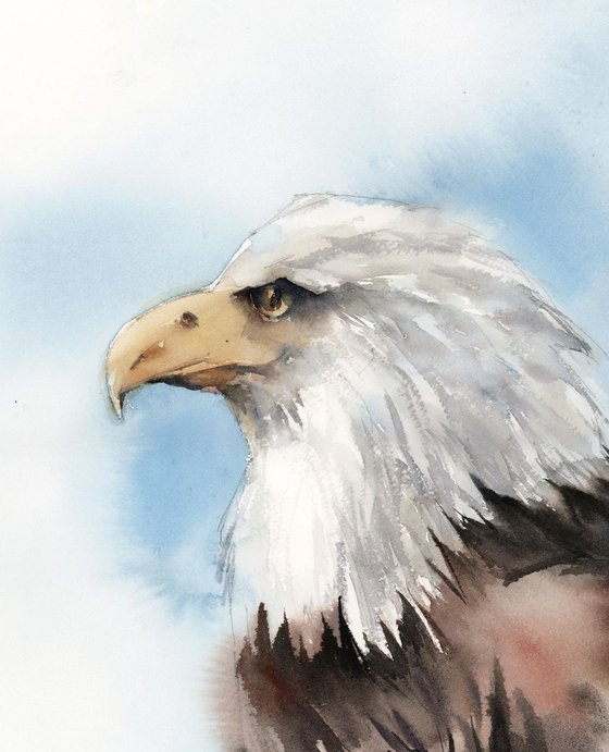 American Eagle watercolor painting