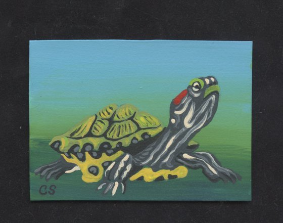 ACEO ATC Original Miniature Painting  Red Ear Slider Turtle Pet Art-Carla Smale