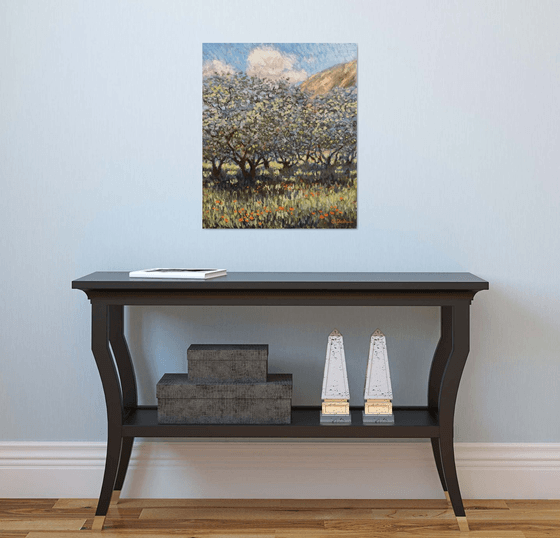 Olive groves of Provence