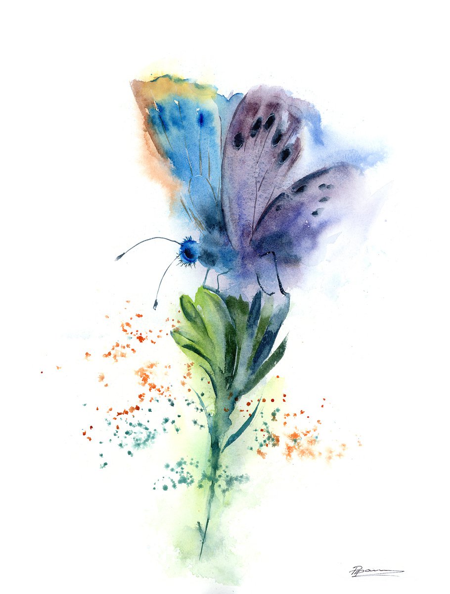 Butterfly on the green flower by Olga Shefranov (Tchefranova)
