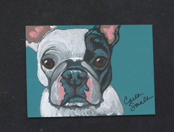 French Bulldog