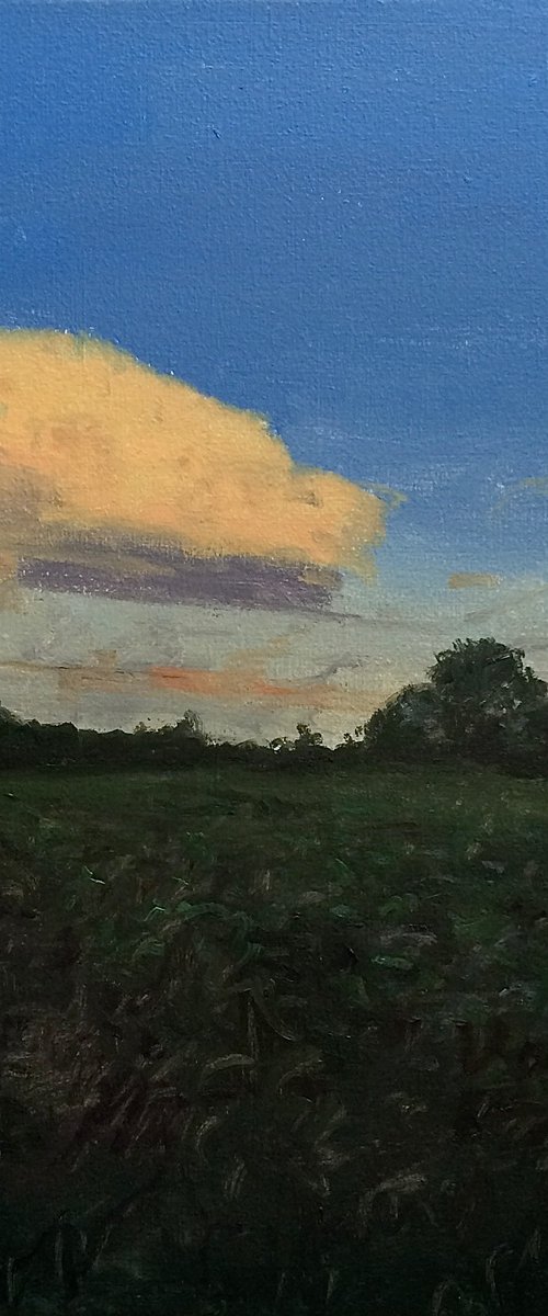 evening in Mikhailovka by Mikhail Rak