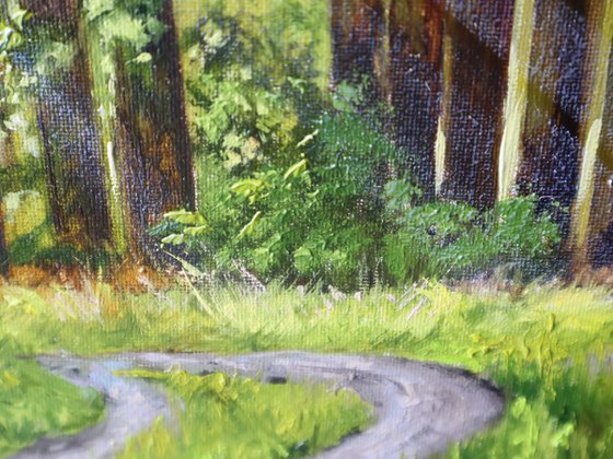 Sunlit Forest Path