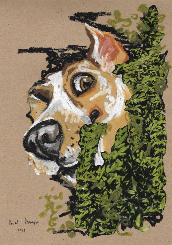 Dog weekend #11