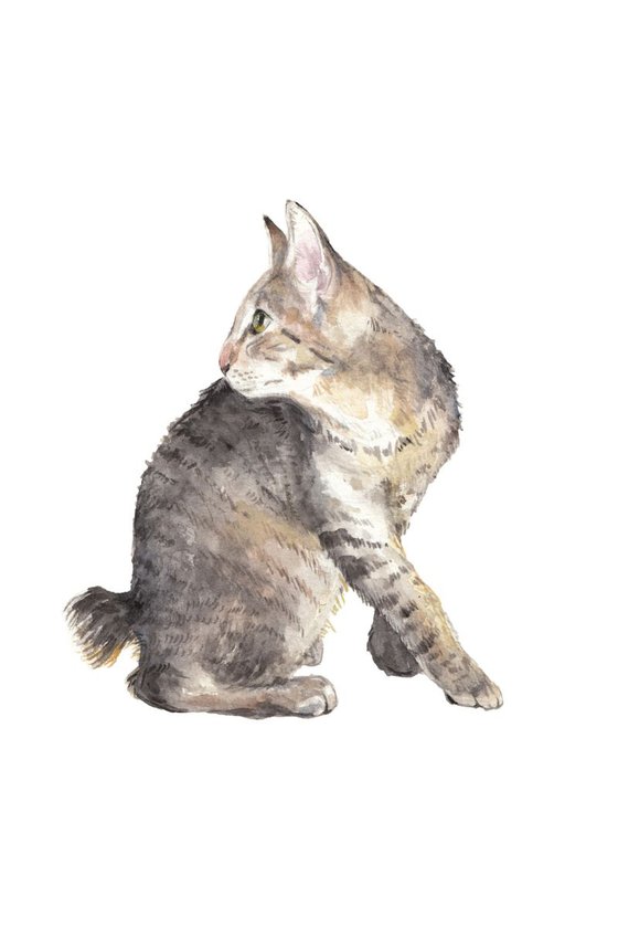 Manx Cat Original Watercolor