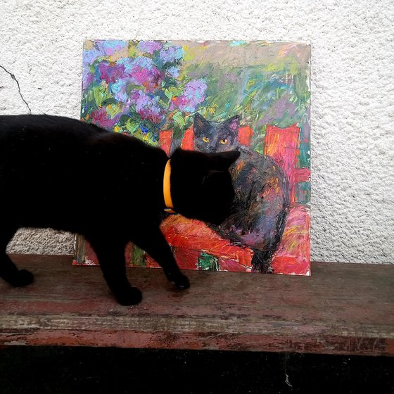 Lilac, black cat, red fence