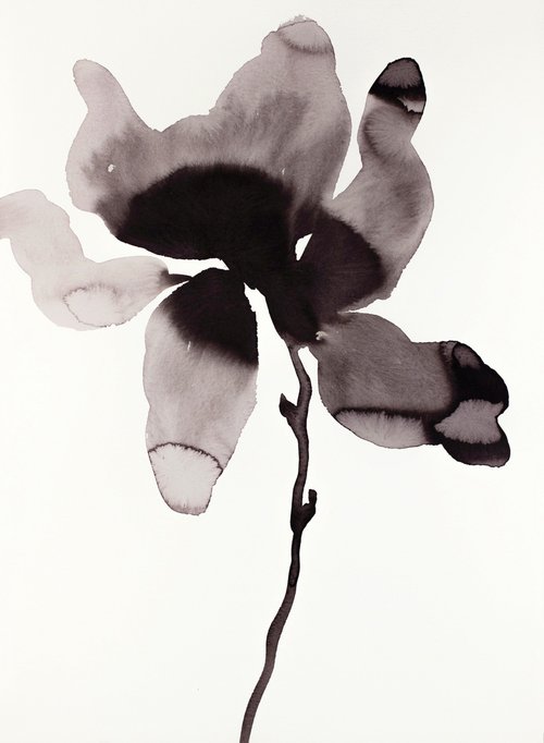 Magnolia No. 46 by Elizabeth Becker